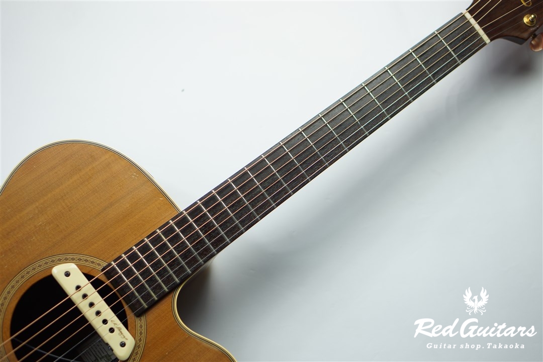 Takamine NPT-010 | Red Guitars Online Store